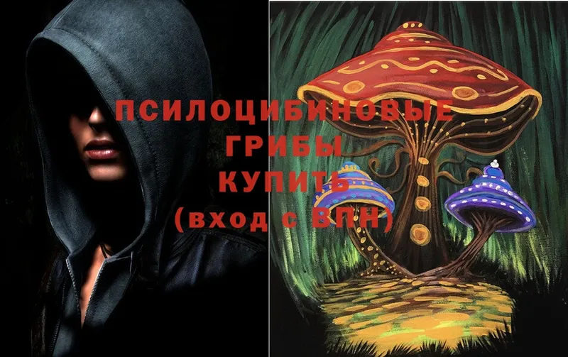 Галлюциногенные грибы Cubensis  Казань 